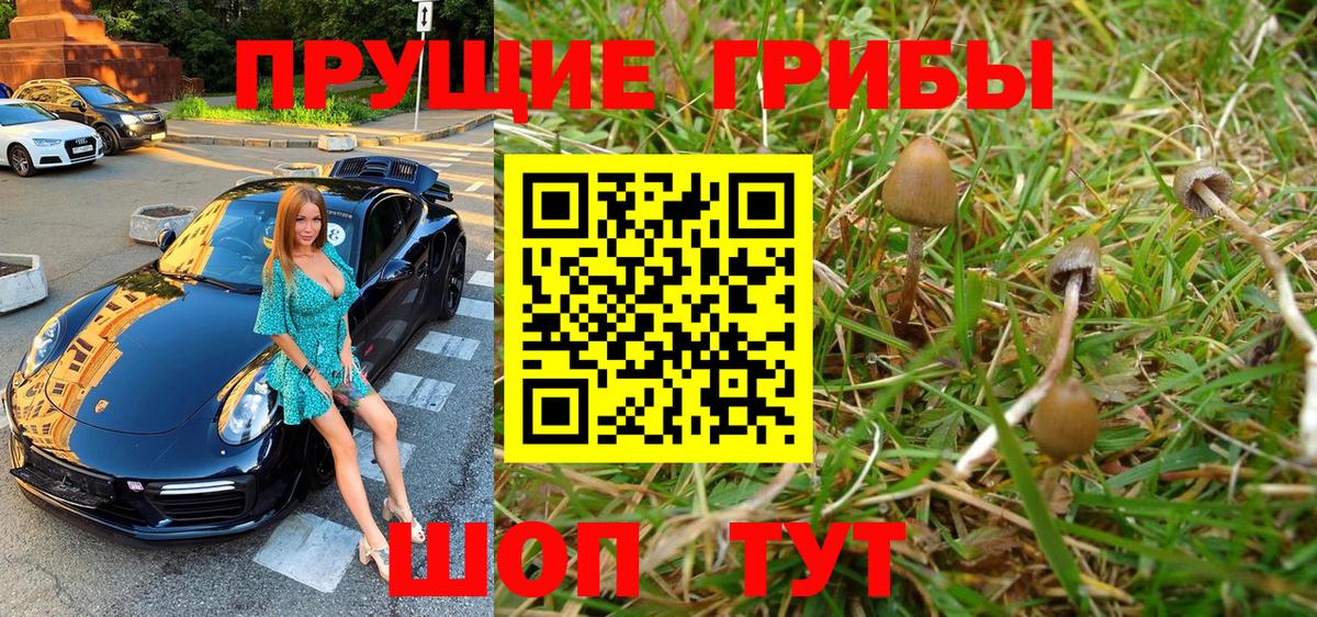 Орехово-Зуево  Галлюциногенные грибы Psilocybine cubensis  Вход с VPN 